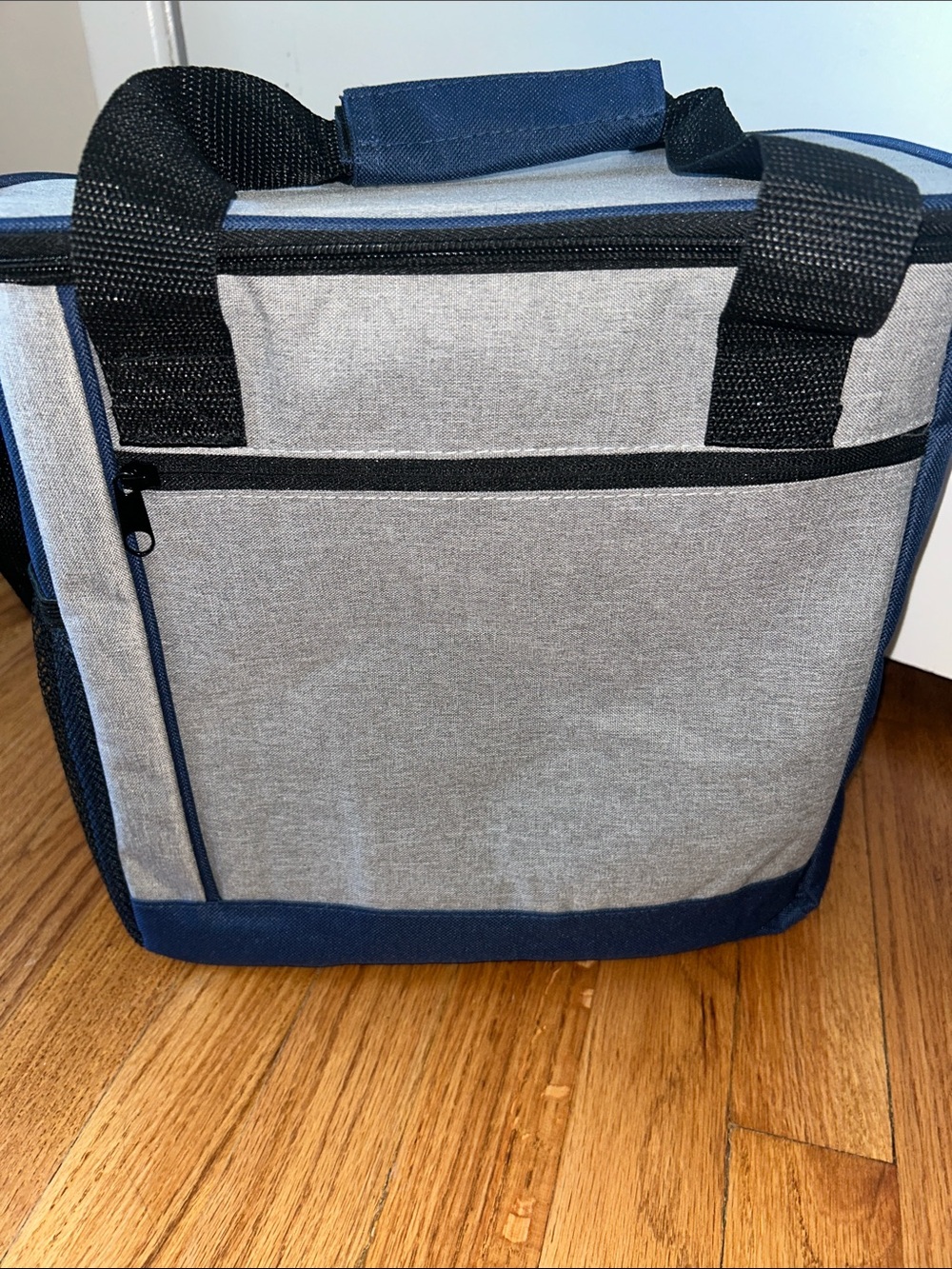 Blue and Grey New Spacious Insulated Cooler Beach Bag 12x16